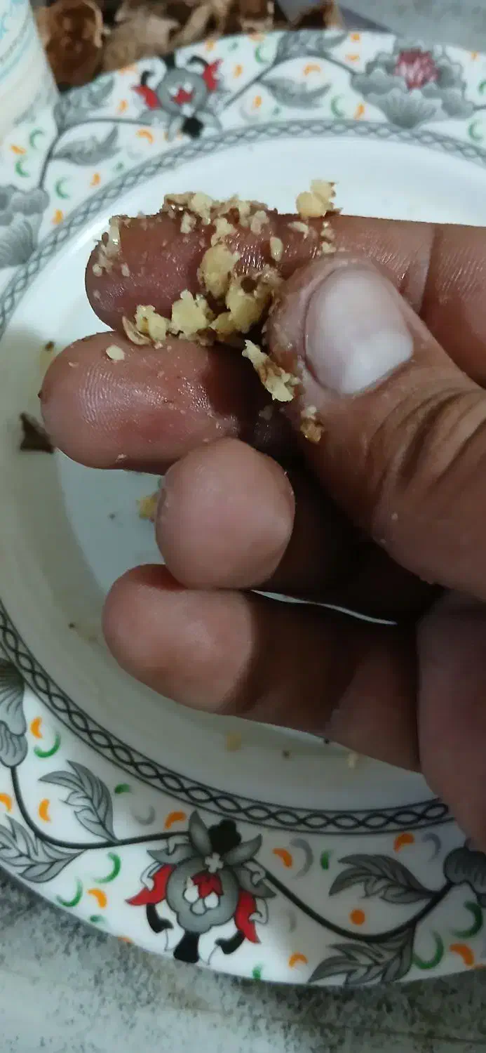 گردو کاغذی محلی|خوردنی و آشامیدنی|تهران, جوادیه|دیوار