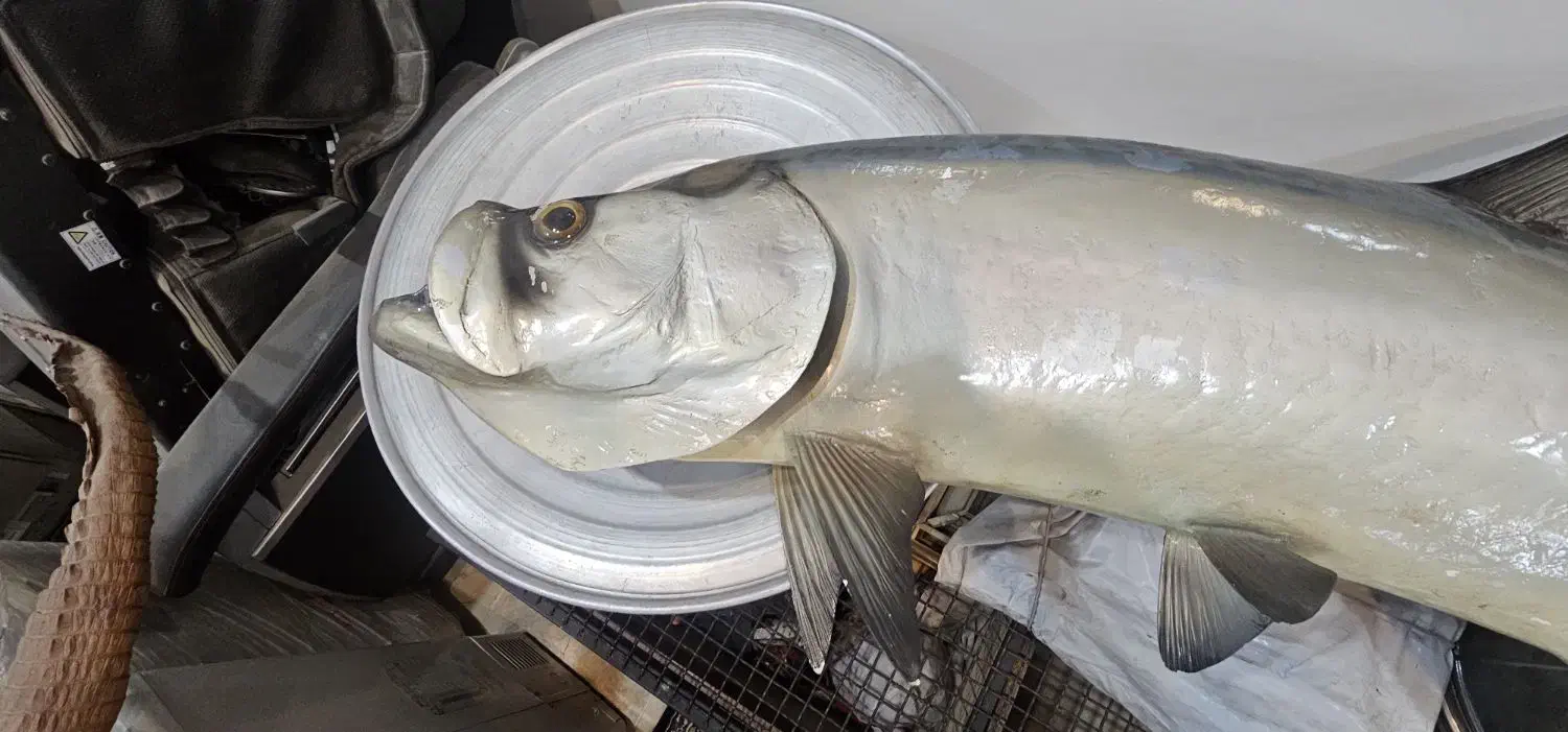 ماهی فایبرگلس|مجسمه، تندیس، ماکت|تهران, مختاری|دیوار