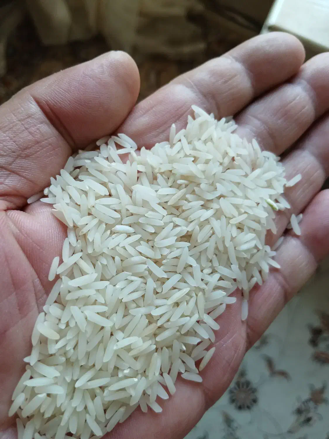 بوجار شده هاشمی ۲۶۰و سوزنی فجر ۱۷۰ت لاشه ۱۷۱|خوردنی و آشامیدنی|بابکان, |دیوار