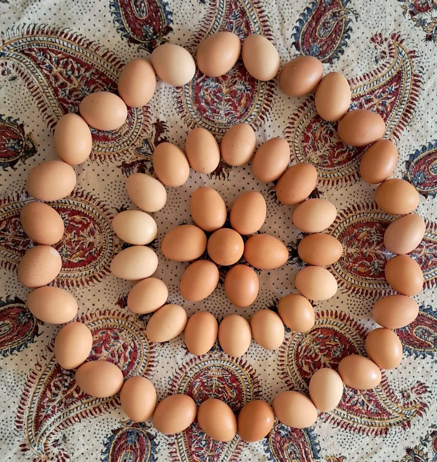 تخم مرغ بومی گلپایگانی|خوردنی و آشامیدنی|اصفهان, شیخ طوسی|دیوار