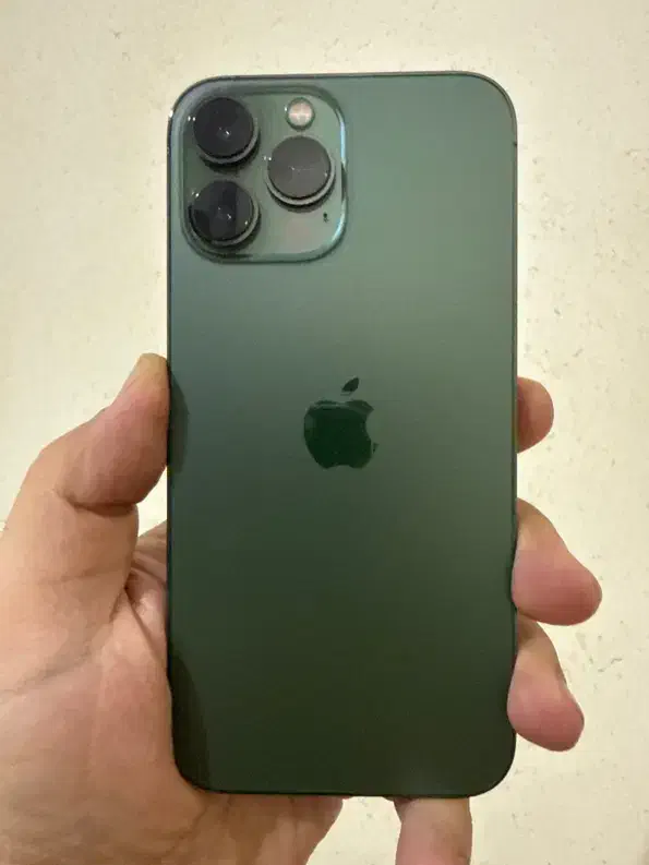 ایفون ۱۳ پرومکس تک سیم|موبایل|شیراز, فضلآباد|دیوار