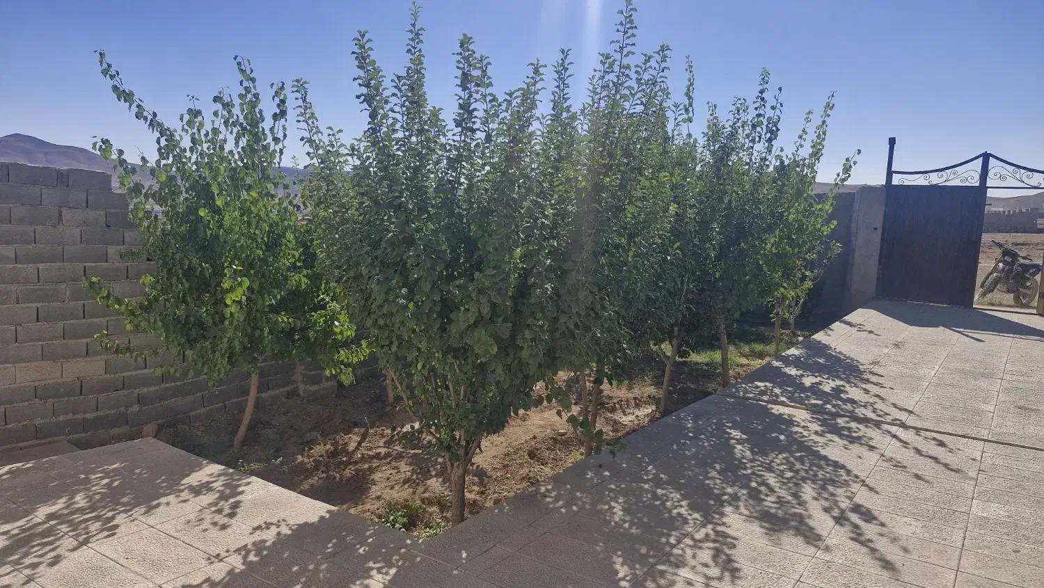 ویلا آماده با شرایط پرداخت اقساطی دماوند آبسرد|فروش خانه و ویلا|تهران, تهرانپارس شرقی|دیوار