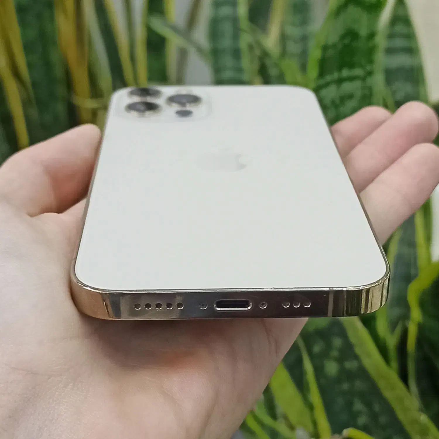 آیفون ۱۲ پرو رنگ گلد بدون پیش پرداخت و اقساطی|موبایل|اصفهان, احمدآباد|دیوار