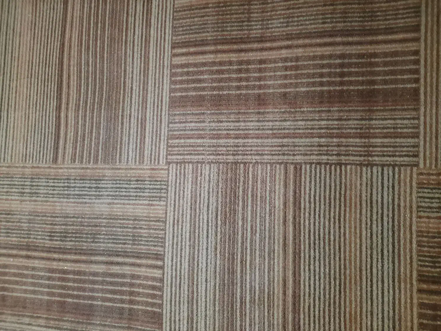 موکت ۱۲ متری|موکت|اردبیل, |دیوار