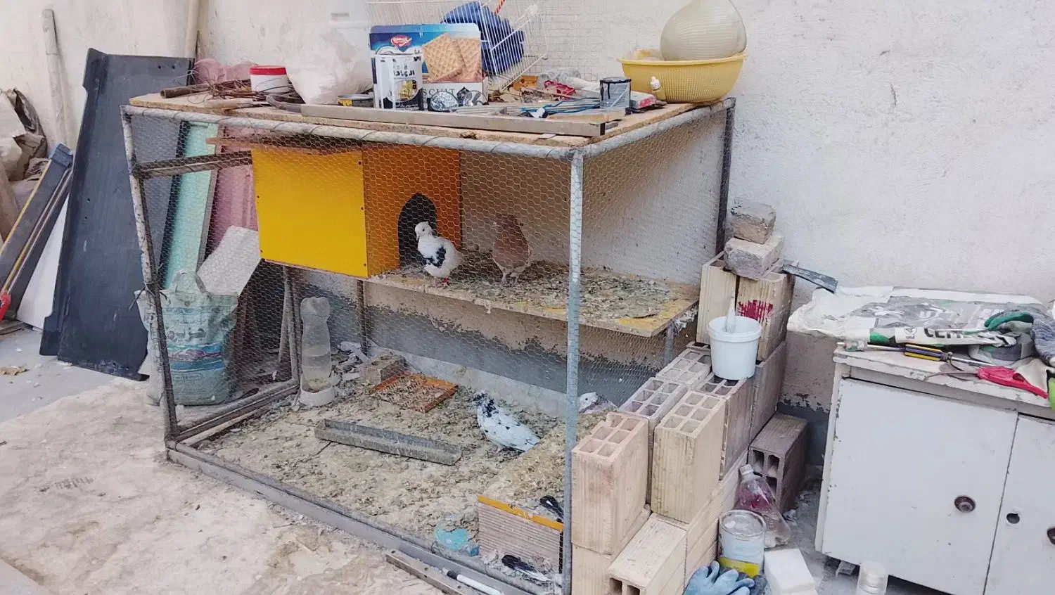 قفس آهنی کبوتر و مرغ|لوازم جانبی حیوانات|مشهد, کوشش|دیوار