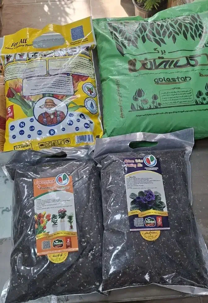 خاک و کود|گل و گیاه طبیعی|رشت, فلسطین|دیوار