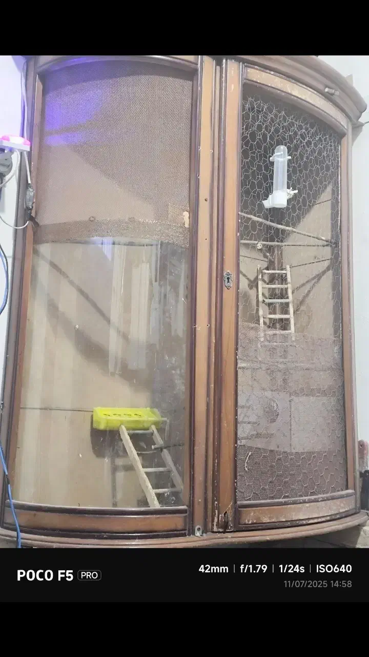 قفس بزرگ برای پرنده|لوازم جانبی حیوانات|رامند, |دیوار