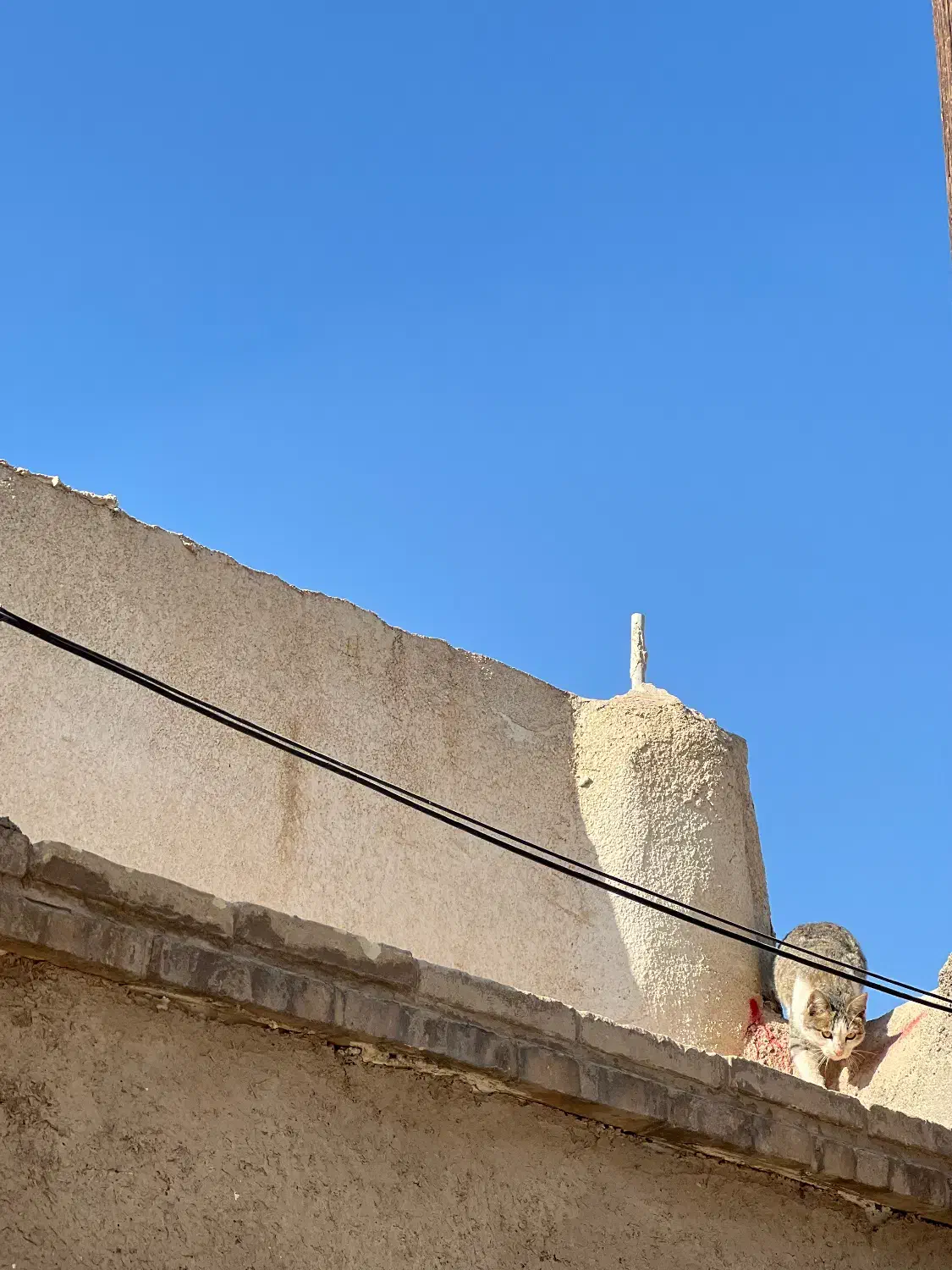 زمین (مشهد اردهال)|فروش زمین و ملک کلنگی|نیاسر, |دیوار