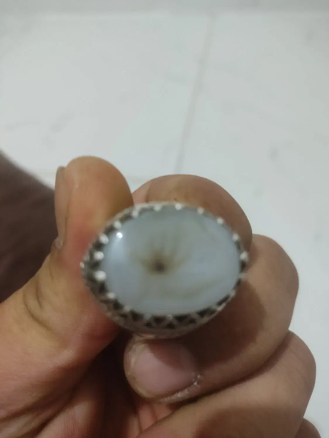 شجر|بدلیجات|مشهد, آزادشهر|دیوار