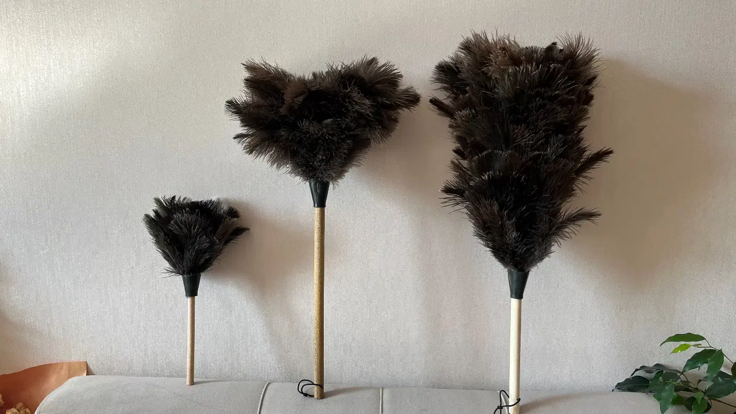 گردگیر شترمرغ عمده|لوازم نظافت|بانه, |دیوار