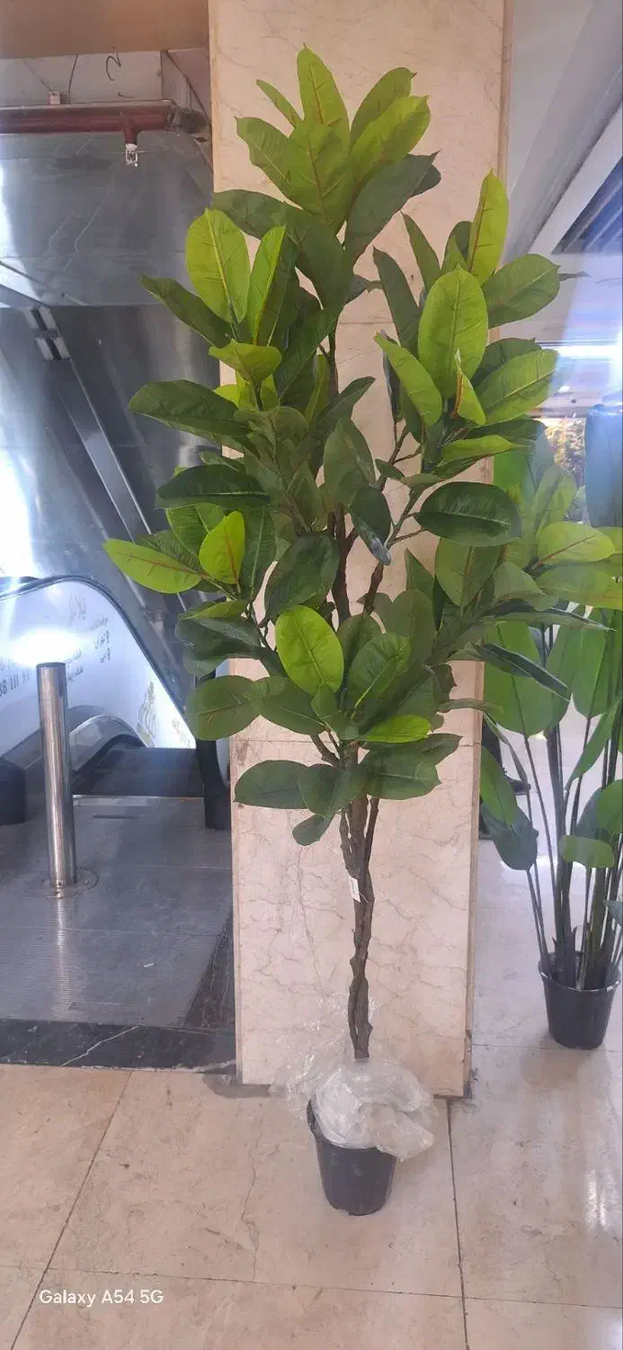 درختچه های مصنوعی وارداتی|گل مصنوعی|تهران, ابوذر|دیوار