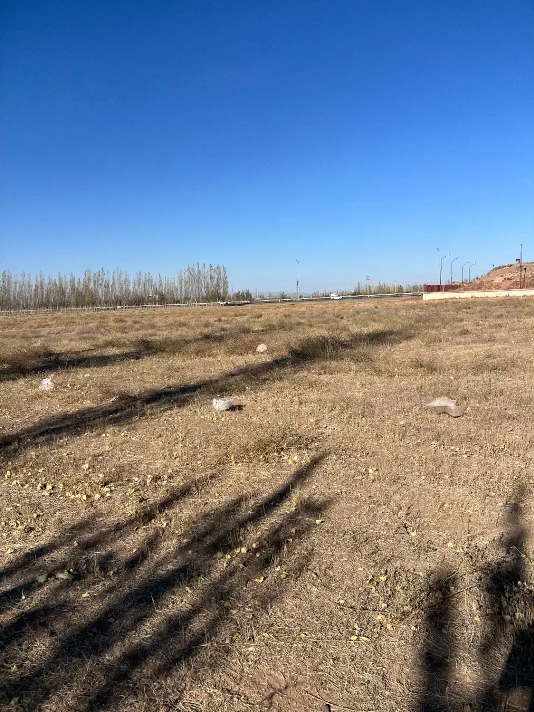 زمین زراعی چسبیده محدوده در شهر آراللو|فروش زمین و ملک کلنگی|هیر, |دیوار