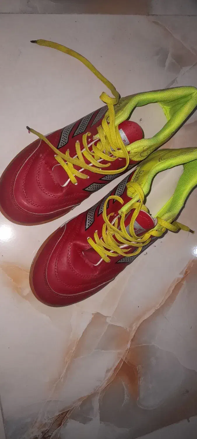 کفش سالن|کیف، کفش، کمربند|تبریز, |دیوار