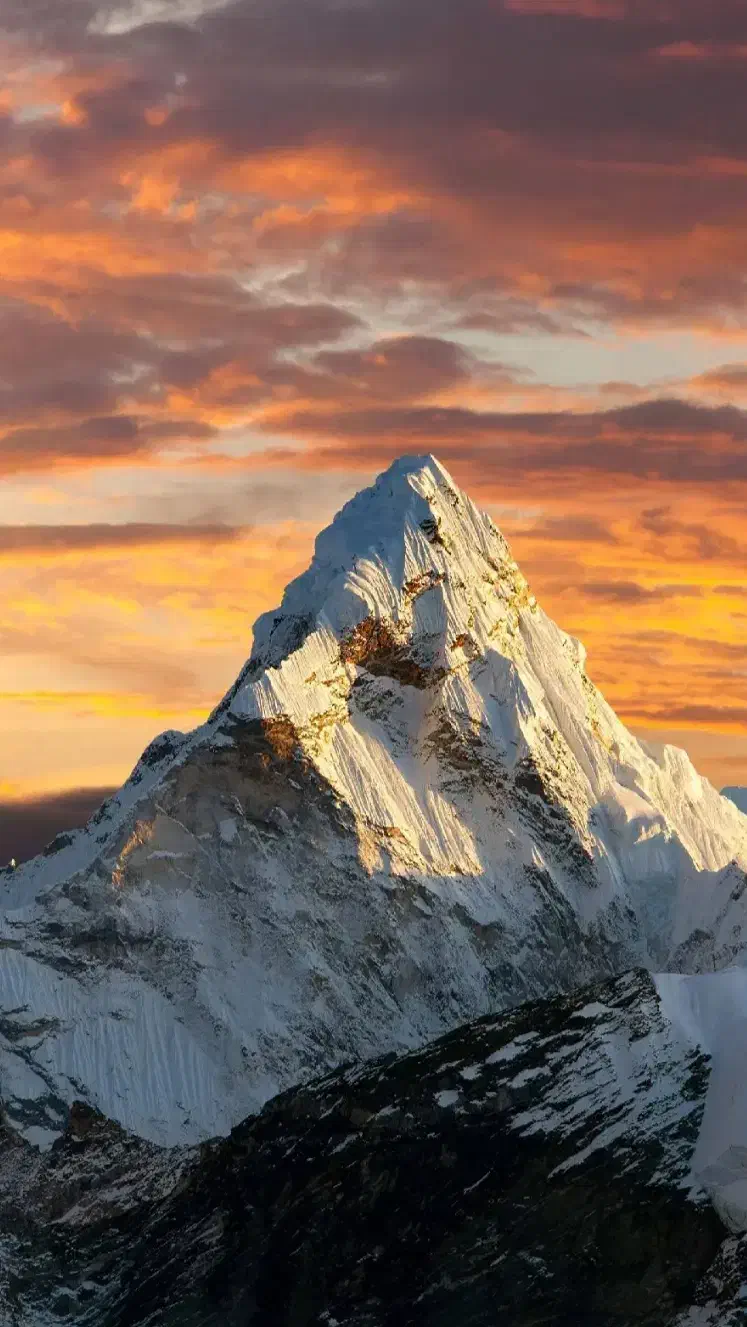 راهنمایی|فعالیت داوطلبانه|یزد, |دیوار