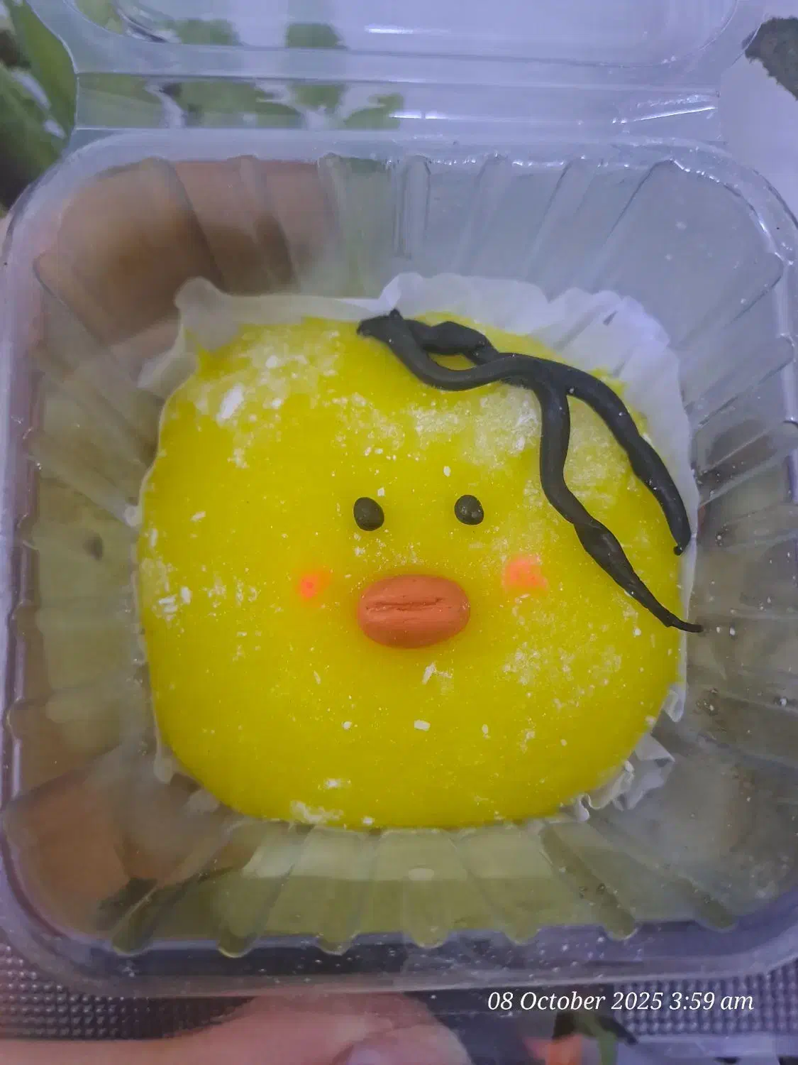 موچی|خوردنی و آشامیدنی|قم, چهار مردان|دیوار