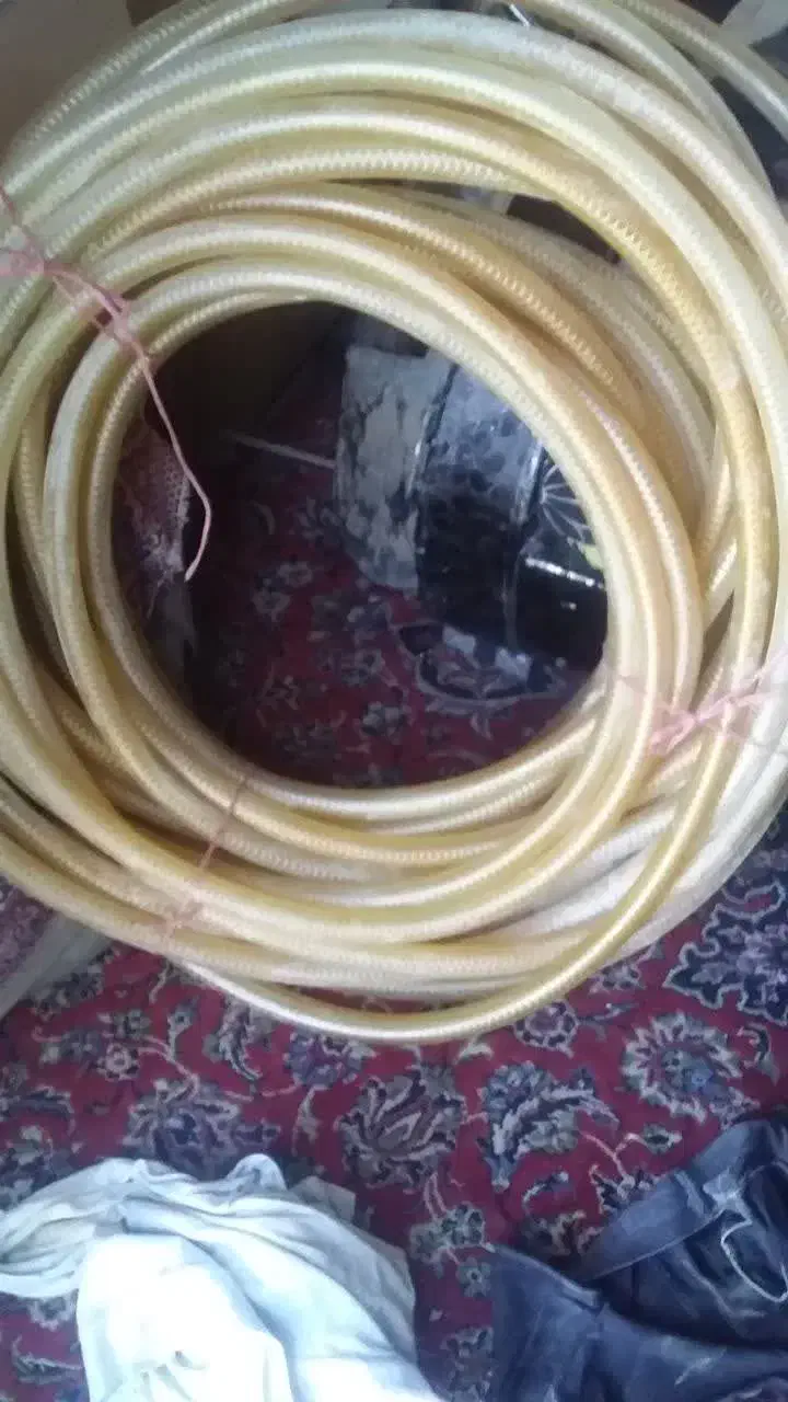 کلکسیونی|کلکسیون و سرگرمی|بوئین و میاندشت, |دیوار