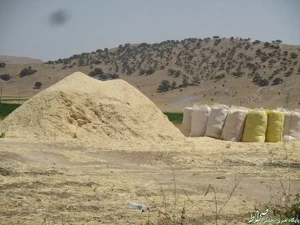 کاه درجه یک گوسفندی|لوازم جانبی حیوانات|تکاب, |دیوار