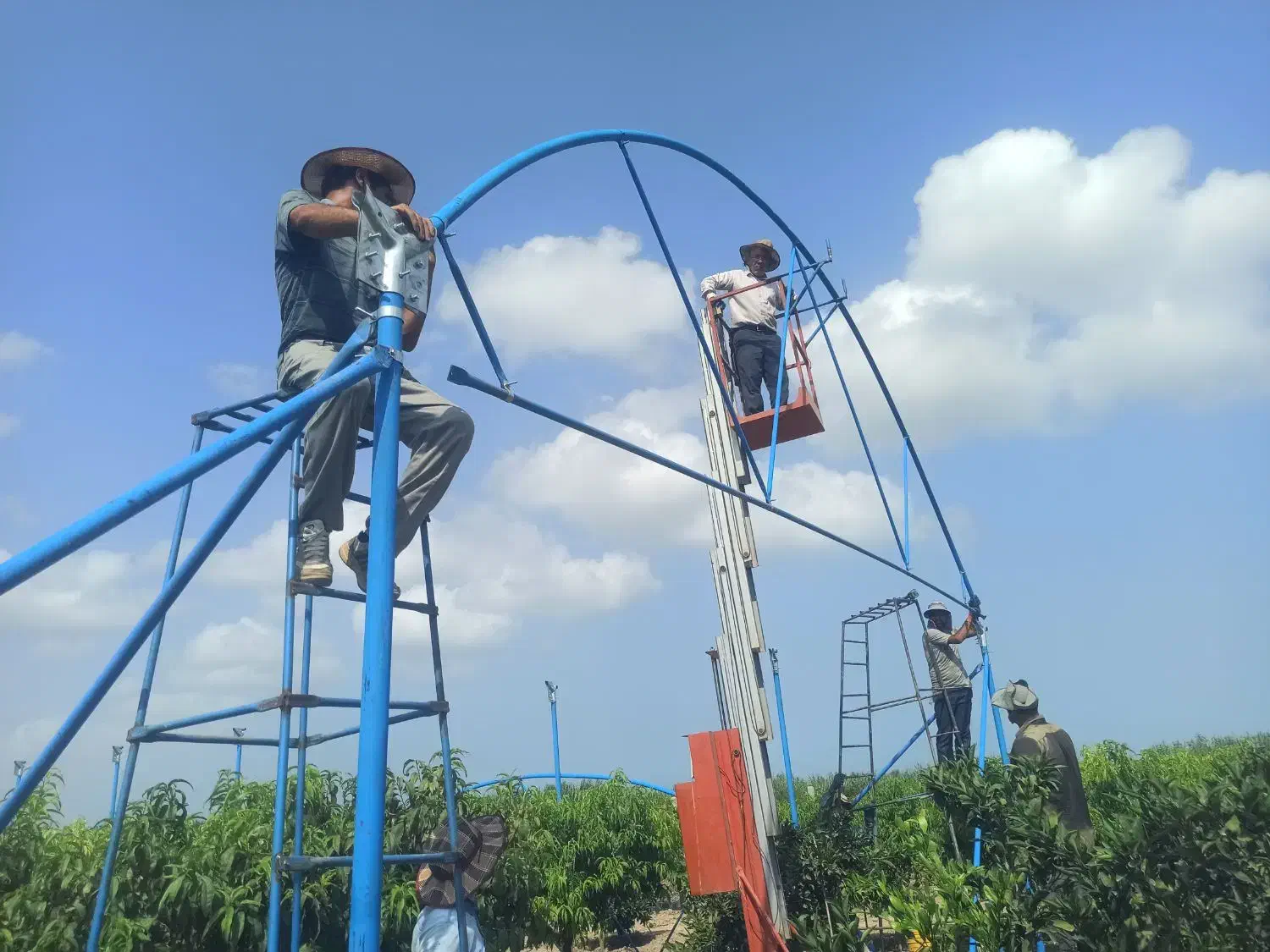 کارگر ساده|استخدام صنعتی، فنی، مهندسی|سورک, |دیوار