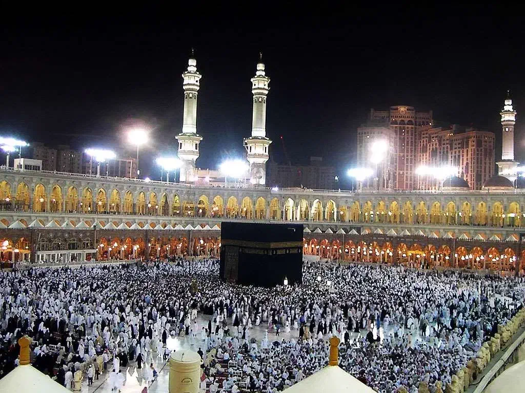 فروش فیش حج تمتع|تور و چارتر|قائم‌شهر, |دیوار