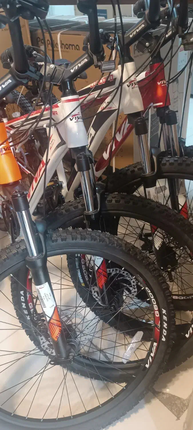 دوچرخه ویوا آکبند ونو|دوچرخه، اسکیت، اسکوتر|محمدشهر, همایون ویلا|دیوار