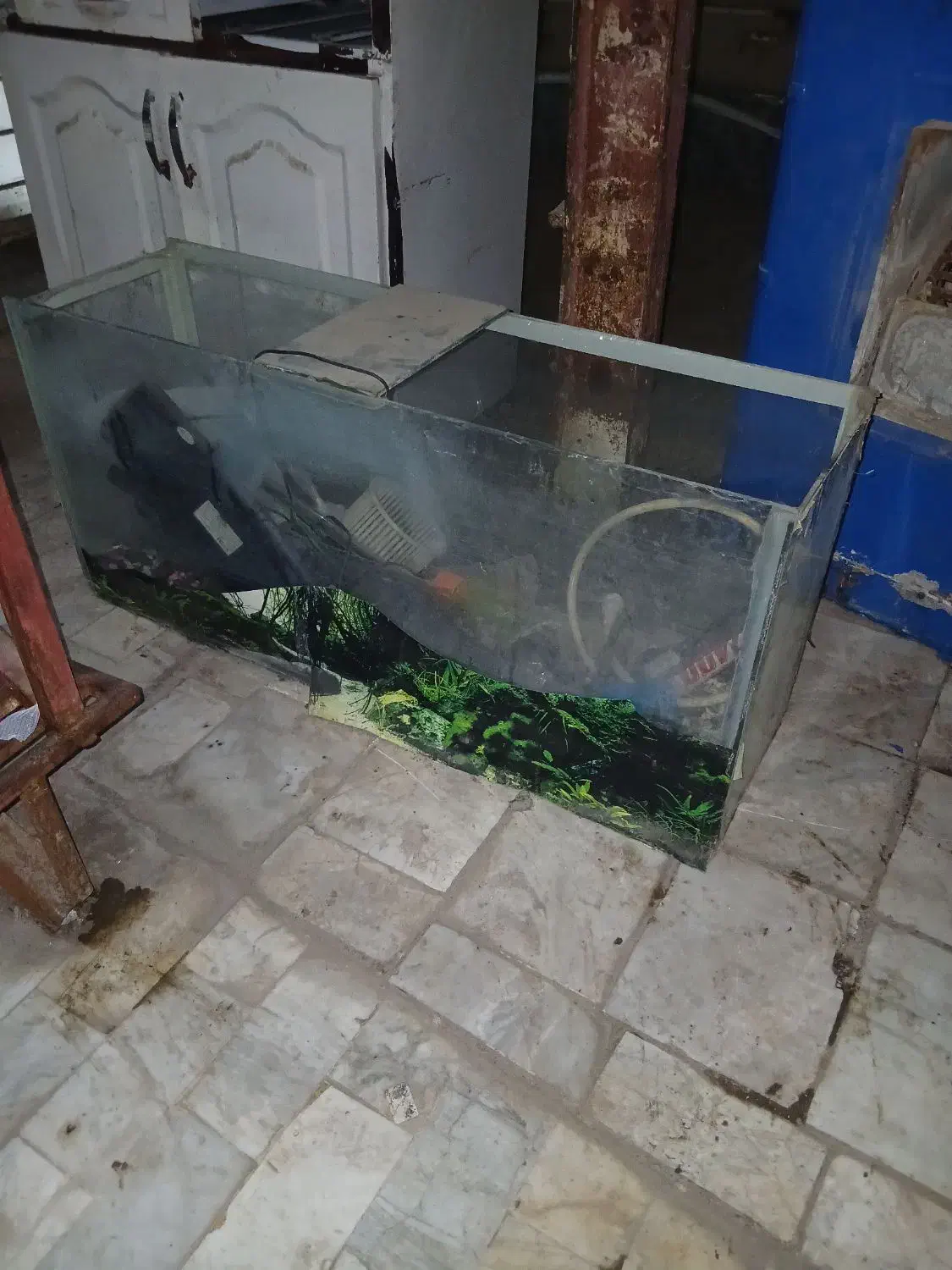 آکواریم با لوازم کامل|ماهی|قم, نیروگاه|دیوار