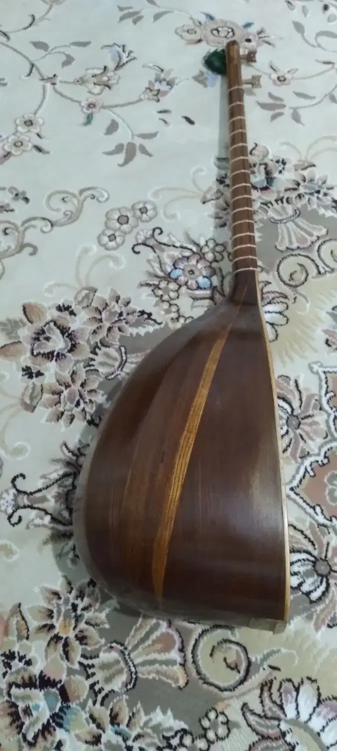 تنبور ترکه ای براخانی|سازهای سنتی|رودهن, |دیوار
