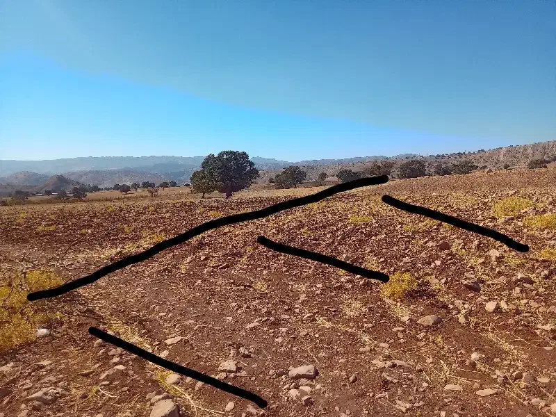 فروش زمین کشاورزی|فروش زمین و ملک کلنگی|سیوان, |دیوار