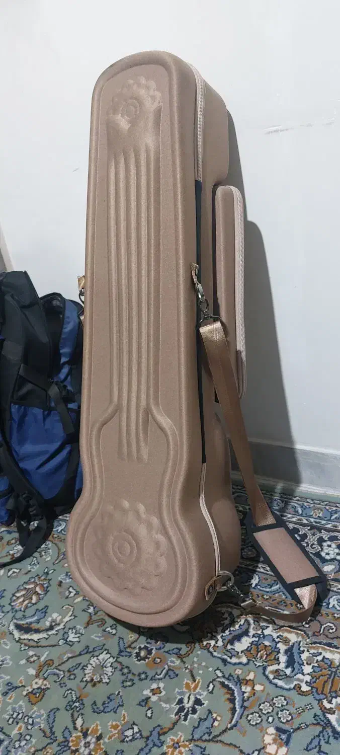 هاردکیس تار دیما|سازهای سنتی|سمنان, |دیوار