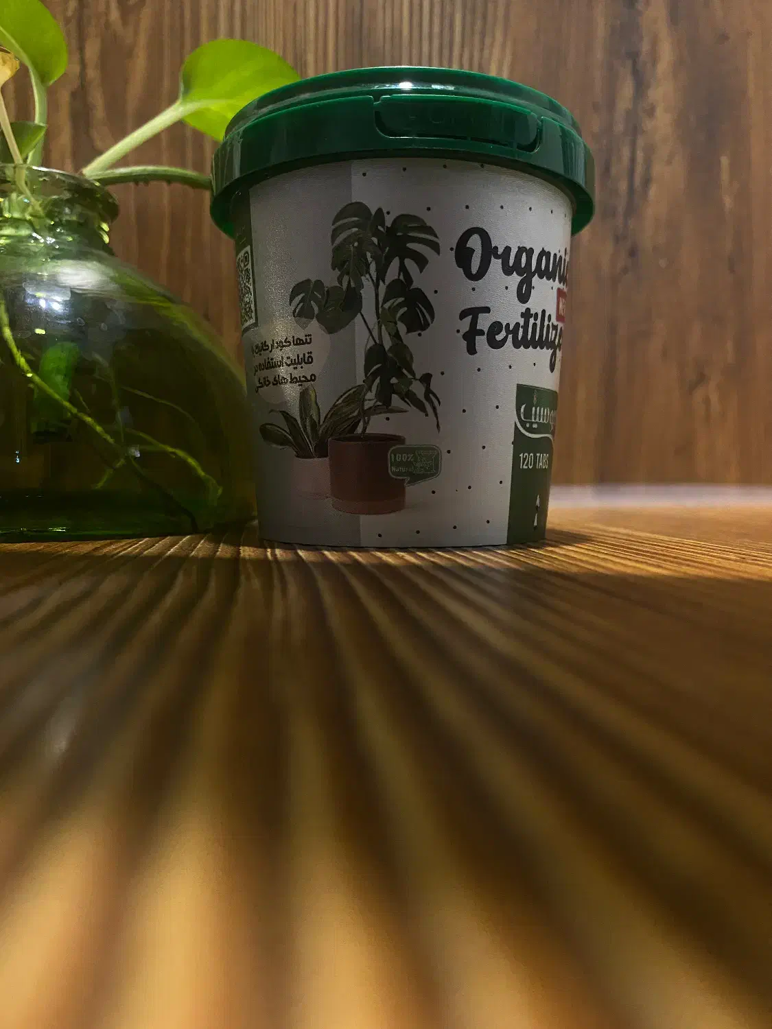 قرصمحرکرشدگیاه|گل و گیاه طبیعی|برازجان, |دیوار