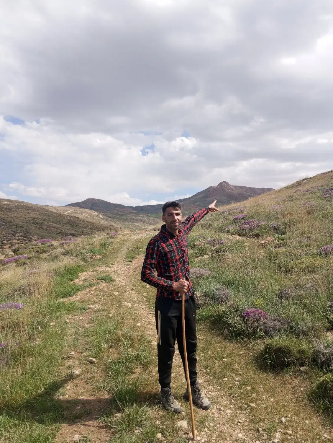 عسل صد درصد طبیعی به شرط|خوردنی و آشامیدنی|طبس, |دیوار