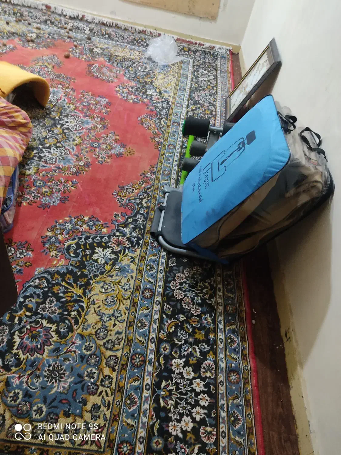 قالی ۱۲متری|فرش|بندرعباس, |دیوار