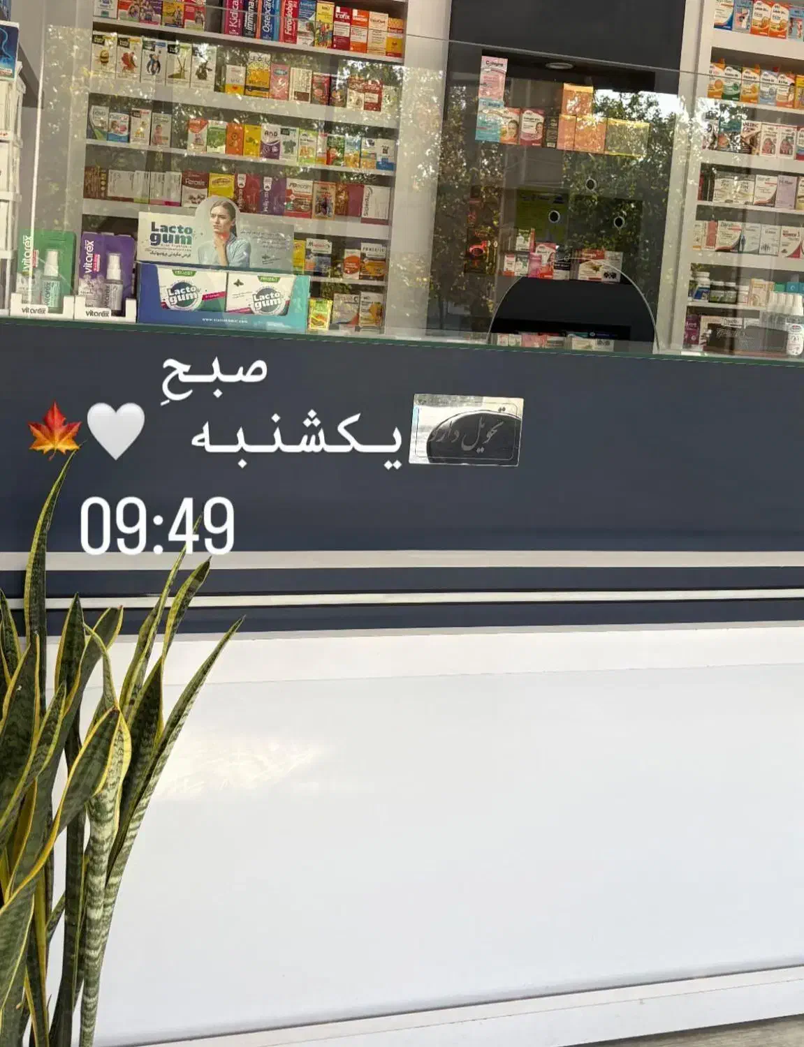 تکنسین دارویی بهداشتی|استخدام درمانی، زیبایی، بهداشتی|نجفآباد, امام خمینی|دیوار