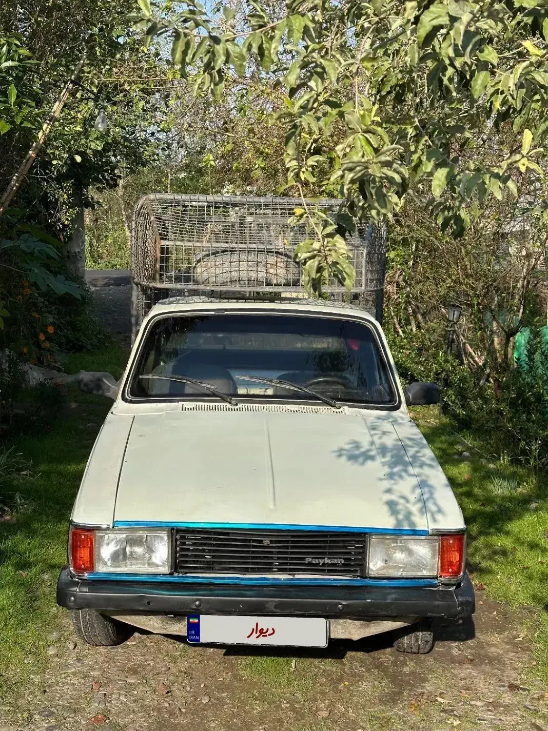 پیکان وانت مدل۸۴|خودرو سواری و وانت|لاهیجان, طالقانی|دیوار