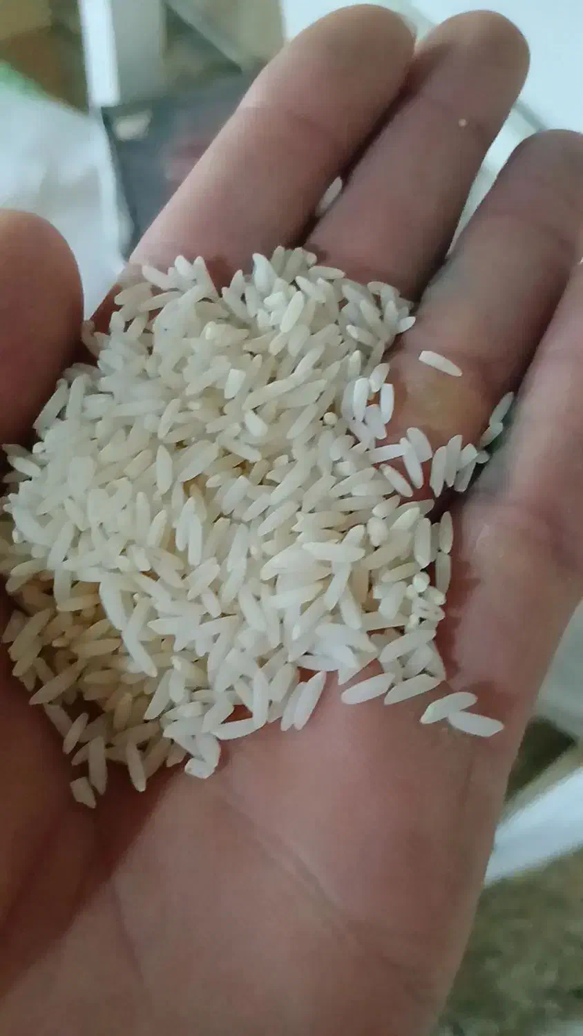 برنج اعلاع سورتینگ خورده هاشمی|خوردنی و آشامیدنی|اصفهان, سرشبادران|دیوار
