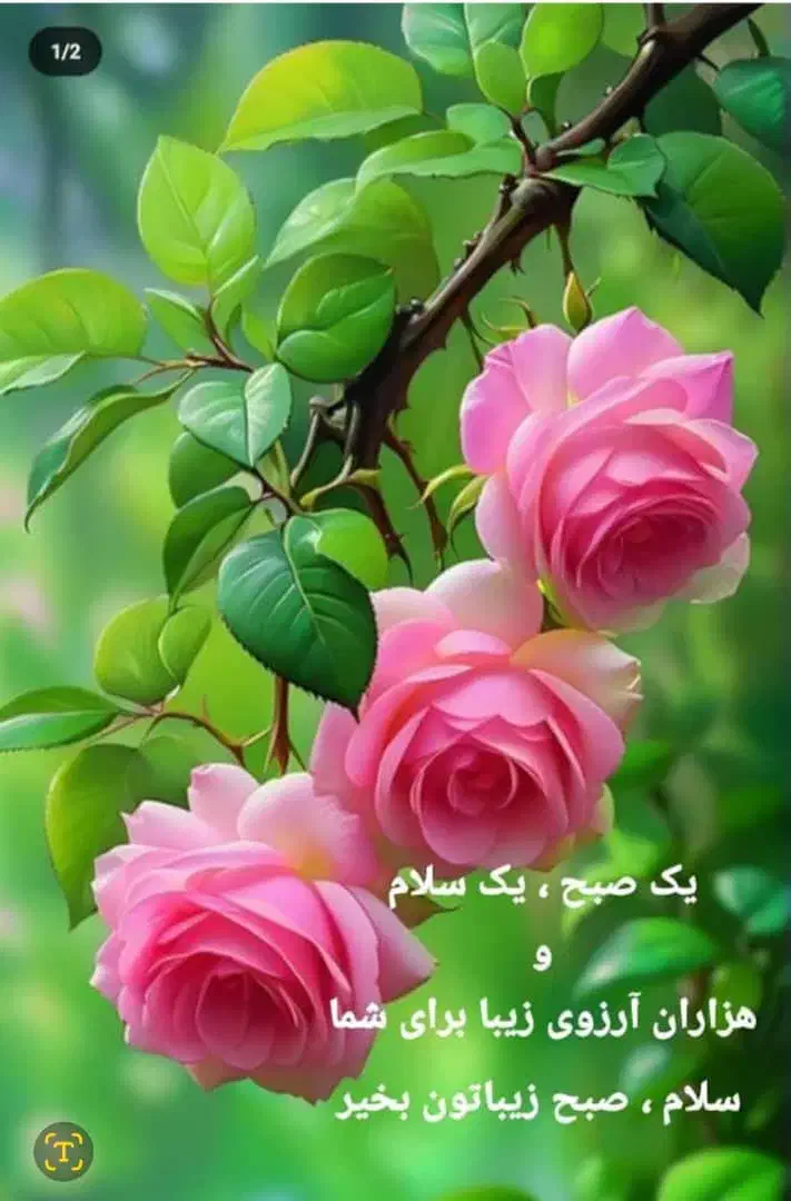 مشاور و دبیر درس تفکر دبیرستان دخترانه|استخدام آموزشی|بندرعباس, |دیوار