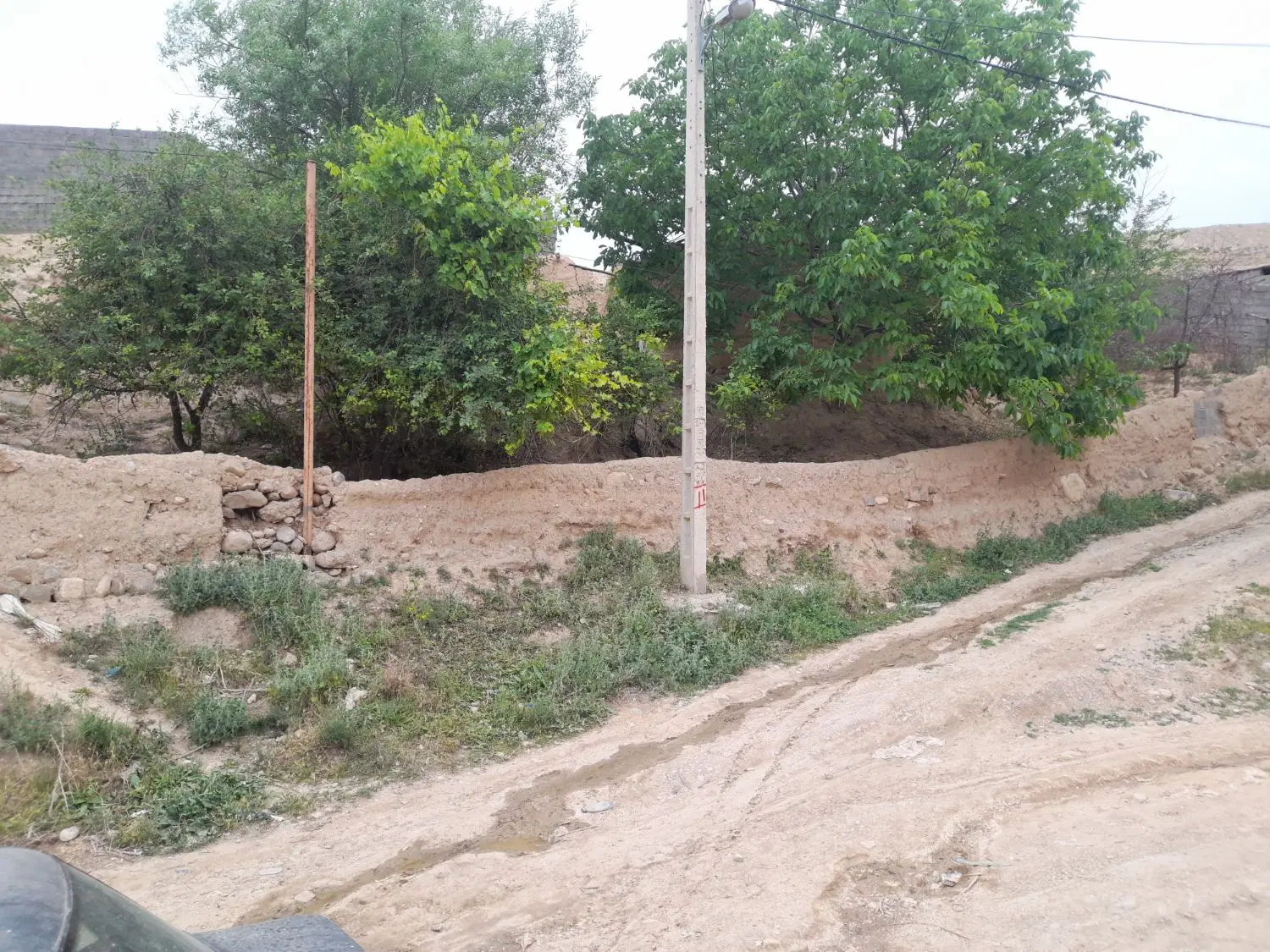 تصویر 13