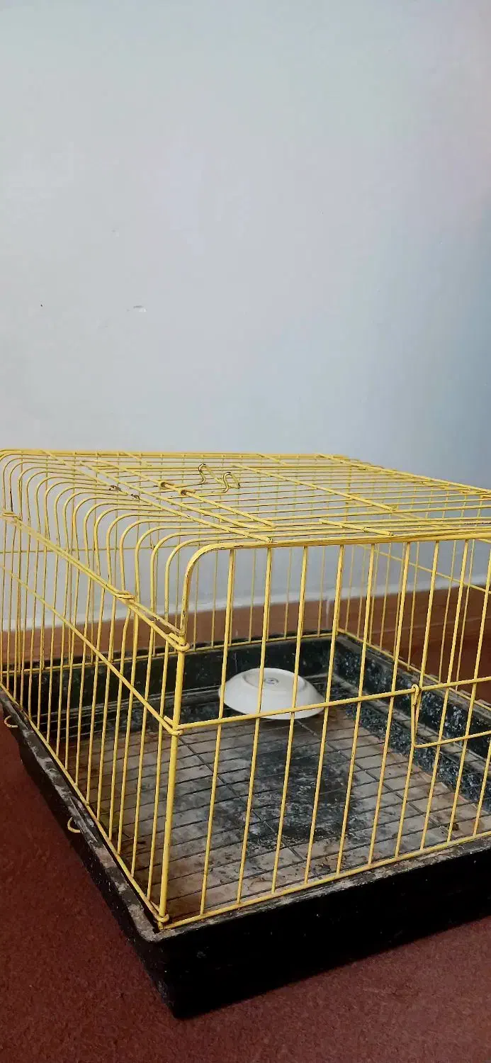 قفس خرگوش قفس همستر|لوازم جانبی حیوانات|پاکدشت, پاکدشت (مامازند)|دیوار