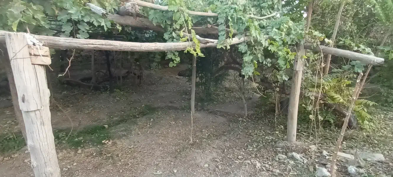 فروش خانه باغ در گلباف|فروش خانه و ویلا|گلباف, |دیوار