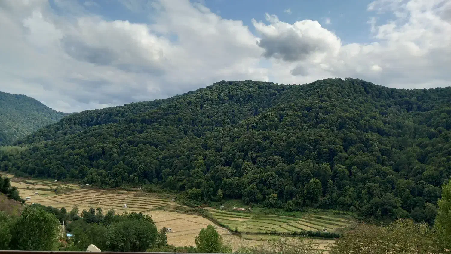 یک شب رویای در جنگل های سوادکوه|اجارهٔ کوتاهمدت ویلا و باغ|زیرآب, |دیوار