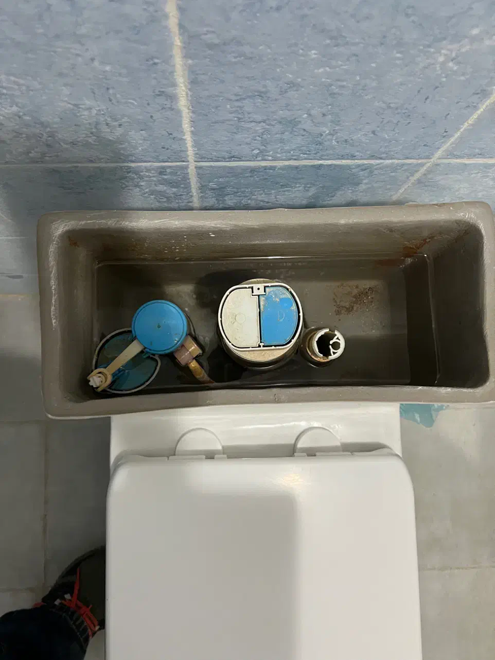 توالت فرنگی|لوازم سرویس بهداشتی|کرج, فاز ۳ مهرشهر|دیوار