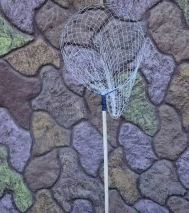 تور کفتر|لوازم جانبی حیوانات|مشهد, رضاشهر|دیوار