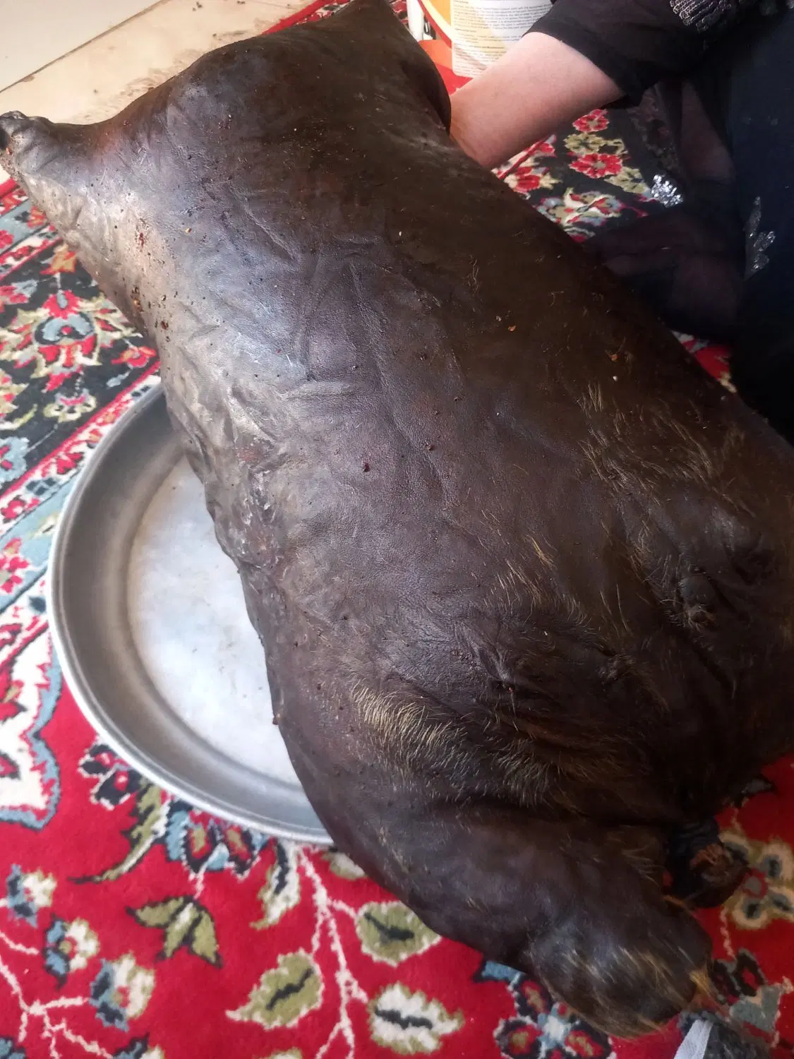 هیزه|خوردنی و آشامیدنی|اسلام‌‌آباد غرب, |دیوار