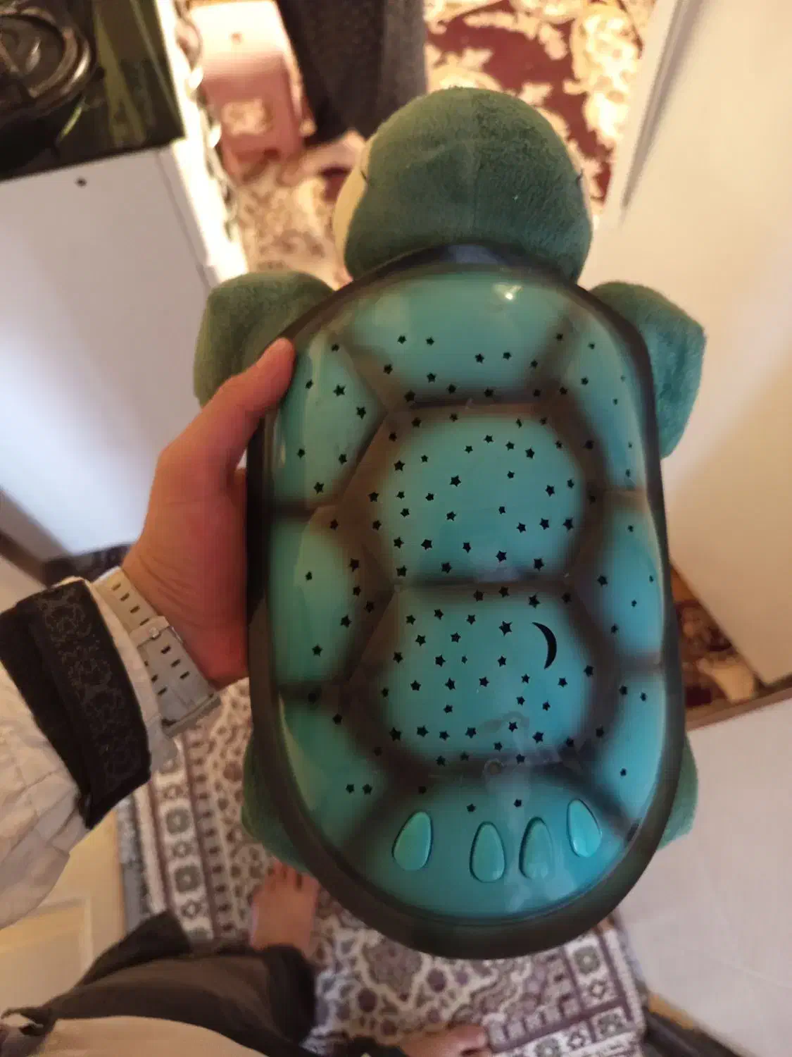 عروسک|اسباب‌بازی بچه|سنندج, |دیوار