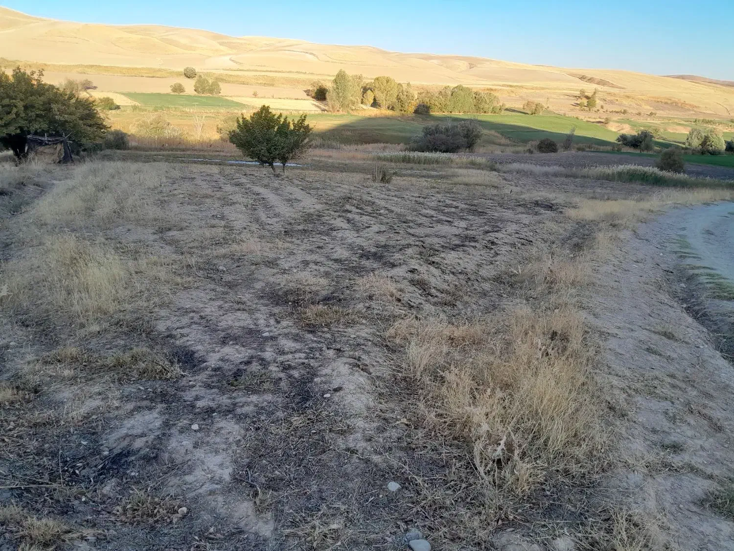 یک هکتارو نیم زمین آبی|فروش زمین و ملک کلنگی|دیواندره, |دیوار