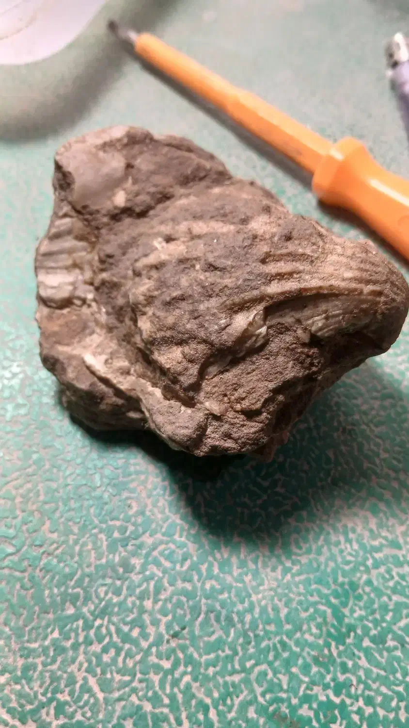 سنگ قیمتی|کلکسیون اشیاء عتیقه|گل تپه, |دیوار