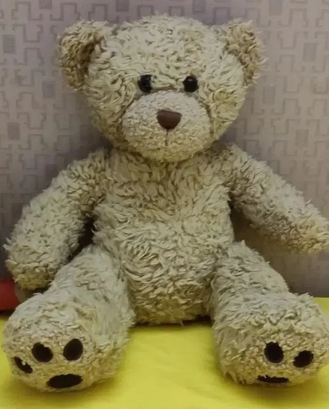 عروسک خرسی (Teddy)|اسباببازی بچه|مشهد, کلاهدوز|دیوار