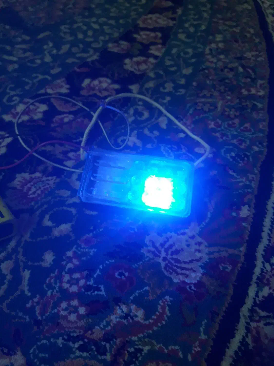 چراغ پلیسی|لامپ و چراغ|بجنورد, |دیوار