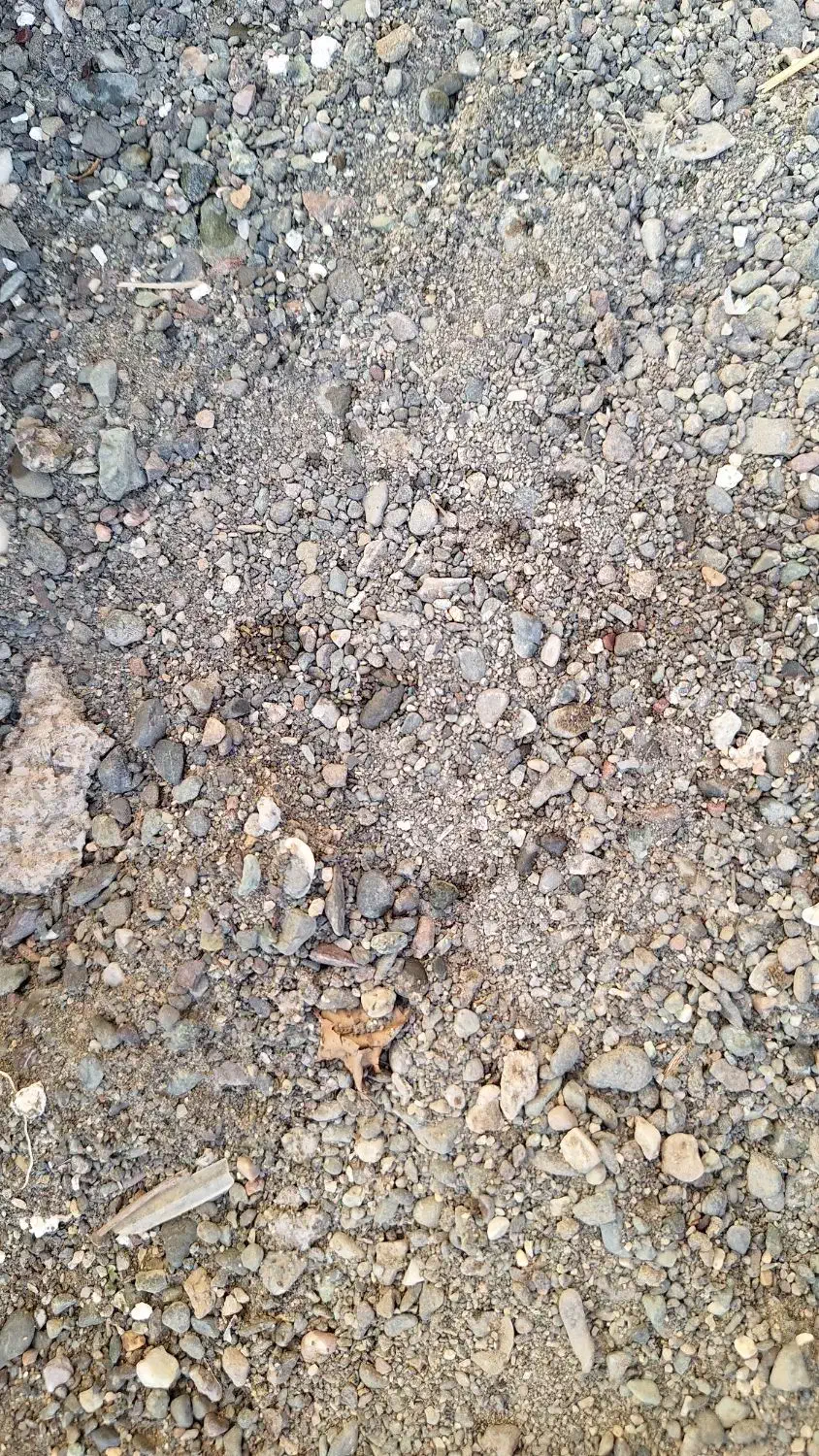 یک دامپر ماسه|مصالح و تجهیزات ساختمان|خوی, |دیوار