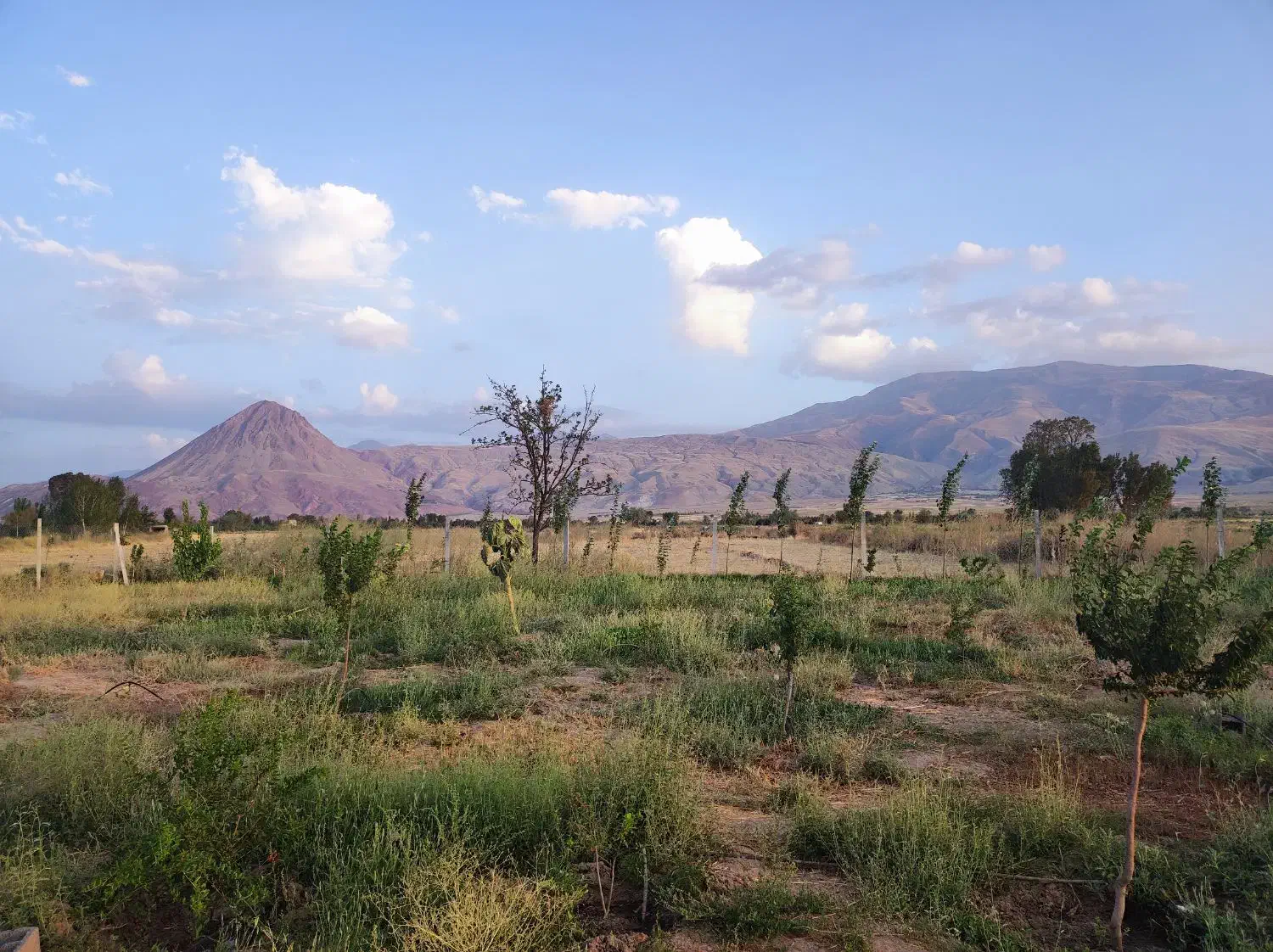 باغ در مرند|فروش زمین و ملک کلنگی|کشکسرای, |دیوار