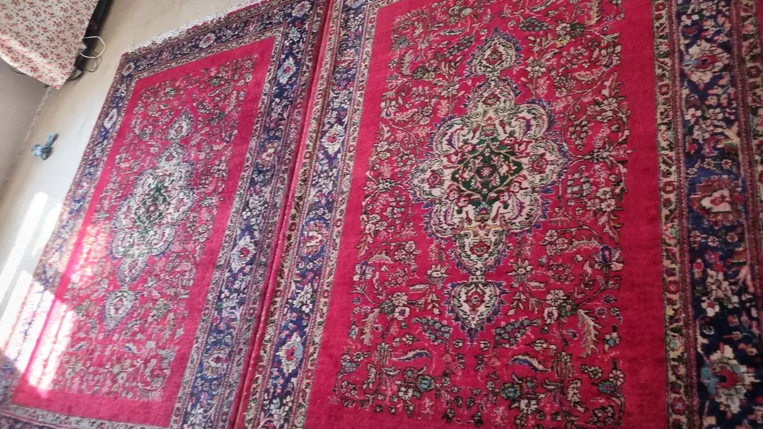 فروش فرش دست بافت|فرش|بوشهر, |دیوار